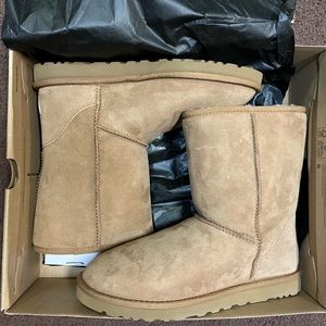 Classic men’s Ugg boot